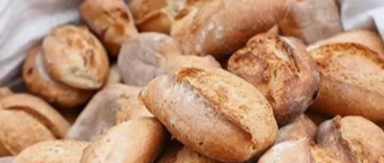 pan_101-13816855_20251130122308